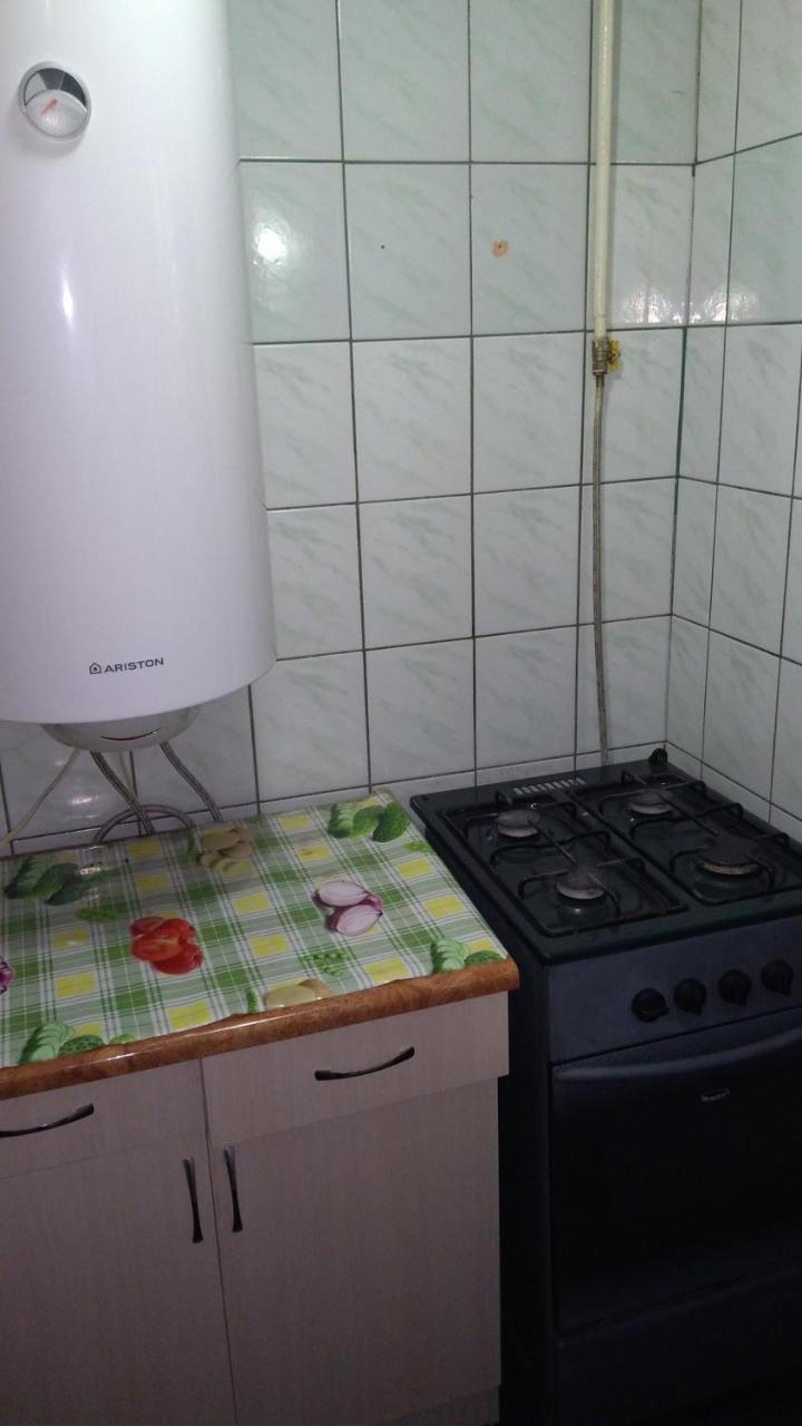 Базилік Люкс Daire Yaremche Dış mekan fotoğraf