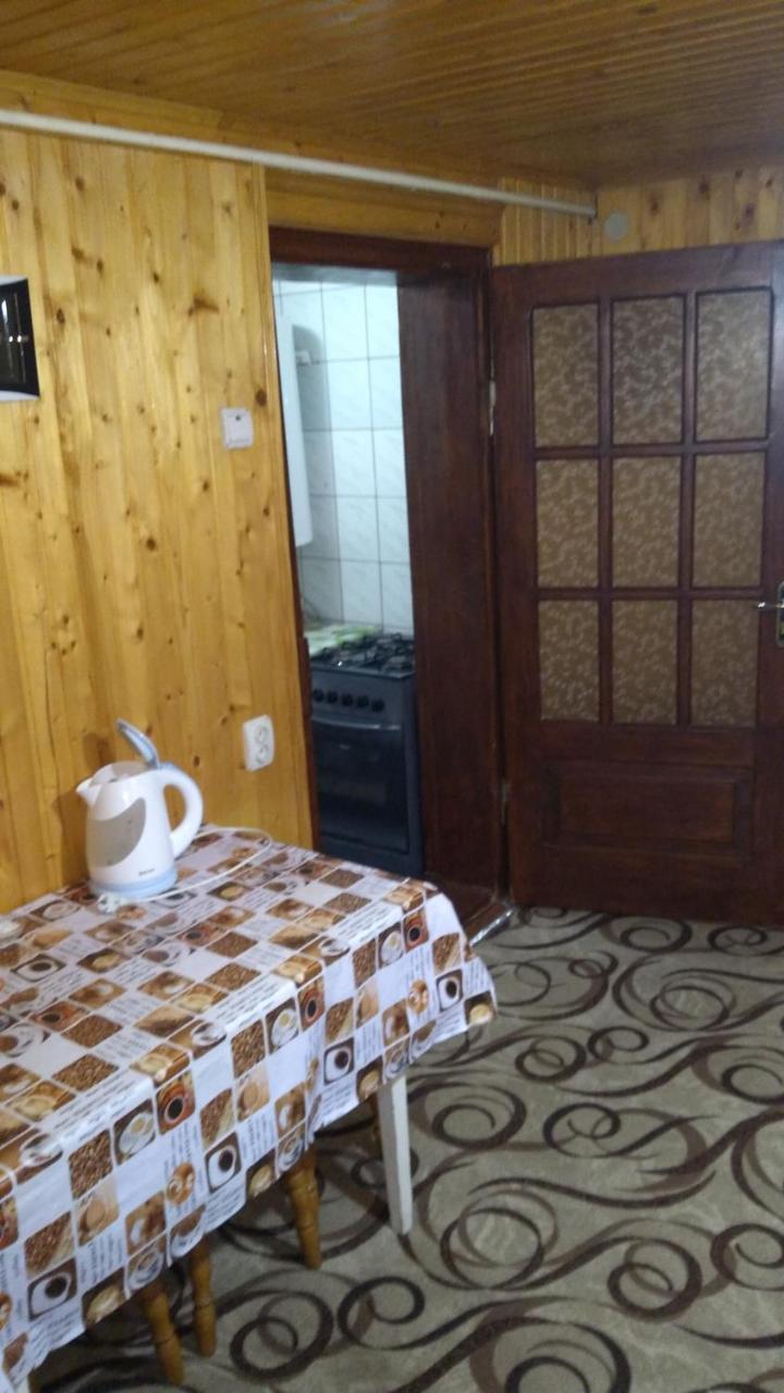 Базилік Люкс Daire Yaremche Dış mekan fotoğraf